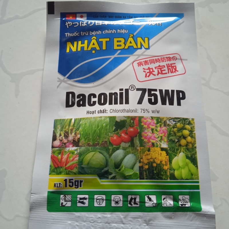 Thối Nhũn Rỉ Sắt Sương Mai Thối Lá Thán Thư Cháy Lá Thối Thân