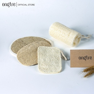 Xơ mướp tự nhiên rửa bát loại ép ngâm trong nước sẽ nở to [bán buôn/sỉ] / thương hiệu ONGTRE