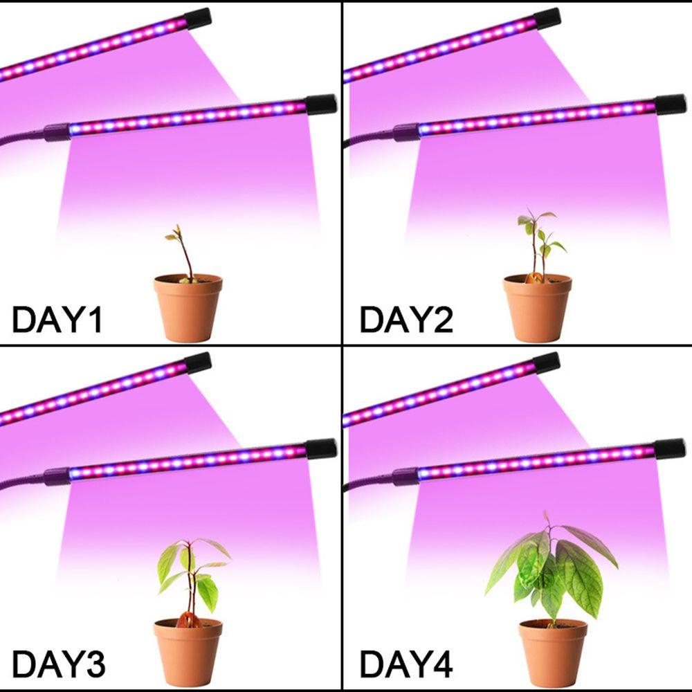 Đèn LED Kích Thích Tăng Trưởng Cho Cây Thủy Canh