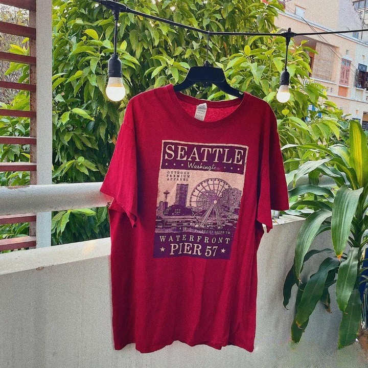 Áo Thun Mỹ 2Hand, Áo Phông Nam Nữ Unisex Vải Mỹ Dày Cotton Thấm Hút Thoáng Mát Hàng Tuyển Chọn Loại 1 Mẫu 1