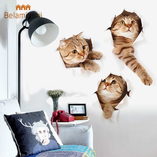 Decal dán tường hình mèo 3D dễ thương