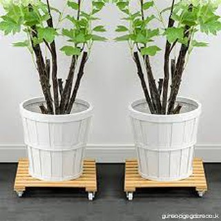 Đế bánh xe chậu hoa gỗ tràm
