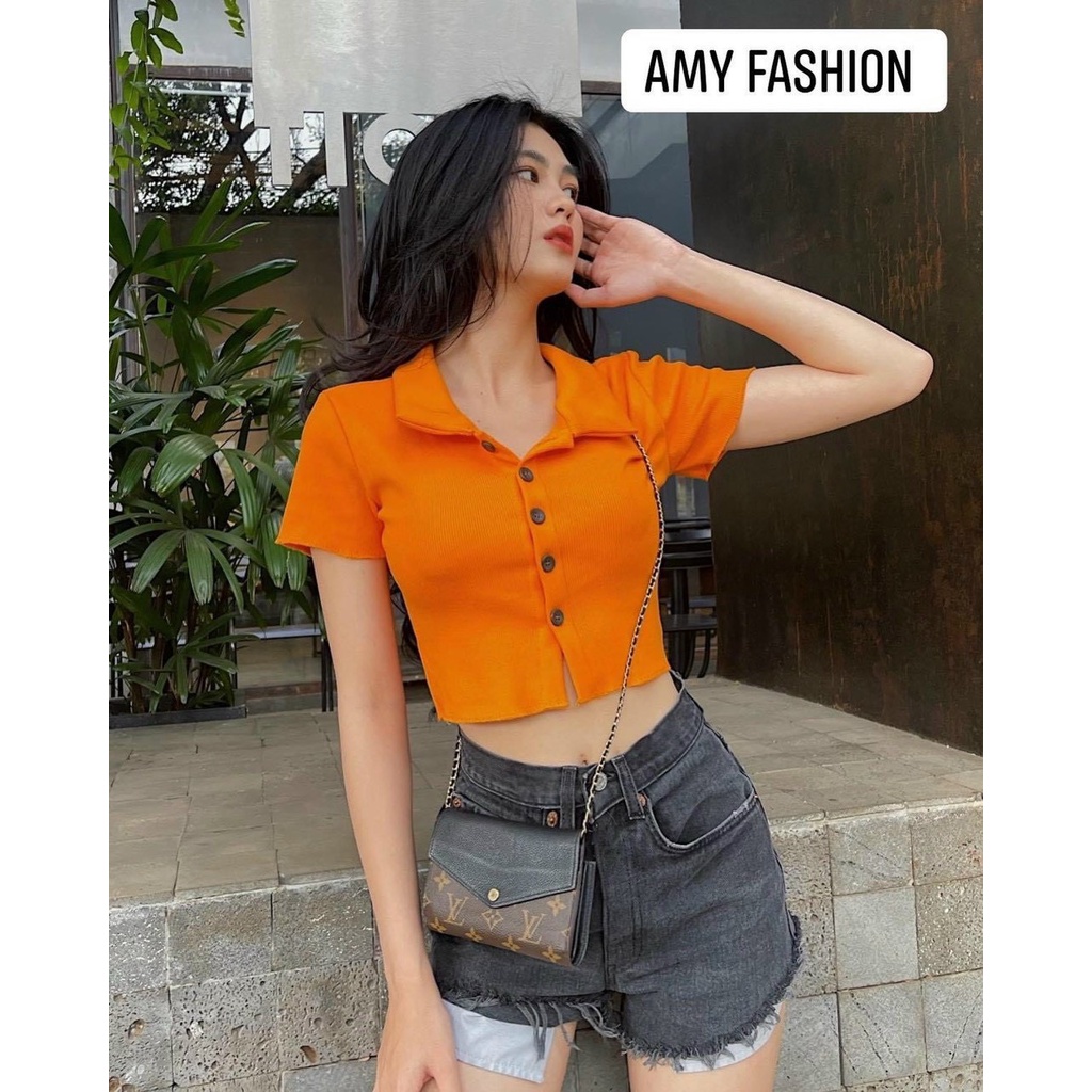 Áo thun gân cổ polo đính 5 nút tay ngắn ôm body form lửng MC