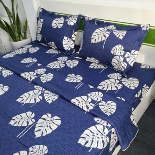 Bộ ga chun Hàn quốc Elective vải nhập (1,8m x2m )