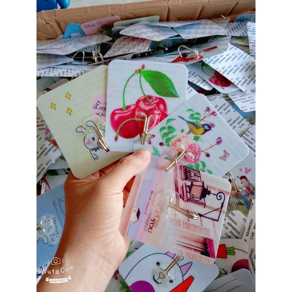 Móc dán Tường 3D in Hình Siêu Dính, Chiu Lực