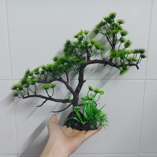 Cây nhựa trang trí bể cá: Mẫu bonsai