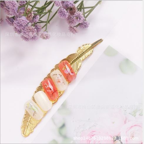 Lông chim chụp ảnh móng mẫu