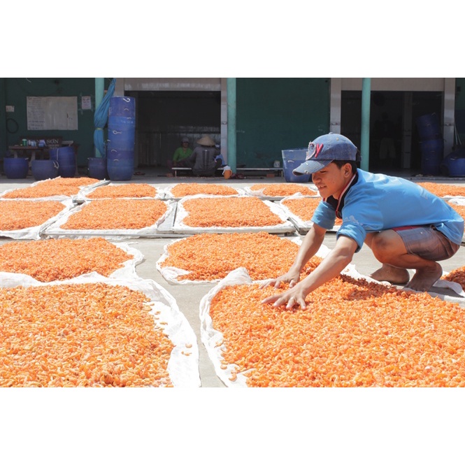 Tôm Khô Cà Mau 1KG loại bình dân, Chuyên nấu canh, nấu nước dùng, kho rim, giàu đạm và sắt