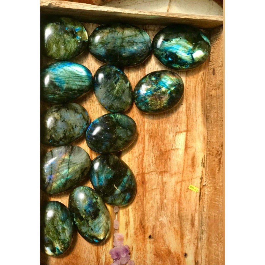 Đá xà cư tư nhiên, Palm Xa cư, kích thước trung bình 5 x 3,5 cm