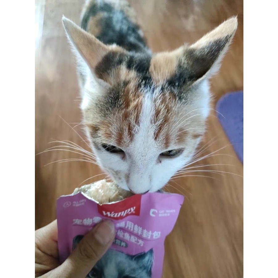 Pate thức ăn cho mèo WANPY BẢN MỚI NHẤT - gói 80gram