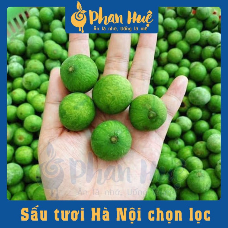 Ô mai xí muội sấu bao tử giòn chua ngọt cay Phan Huệ đặc biệt, sấu non miền Bắc chọn lọc, đặc sản Hà Nội