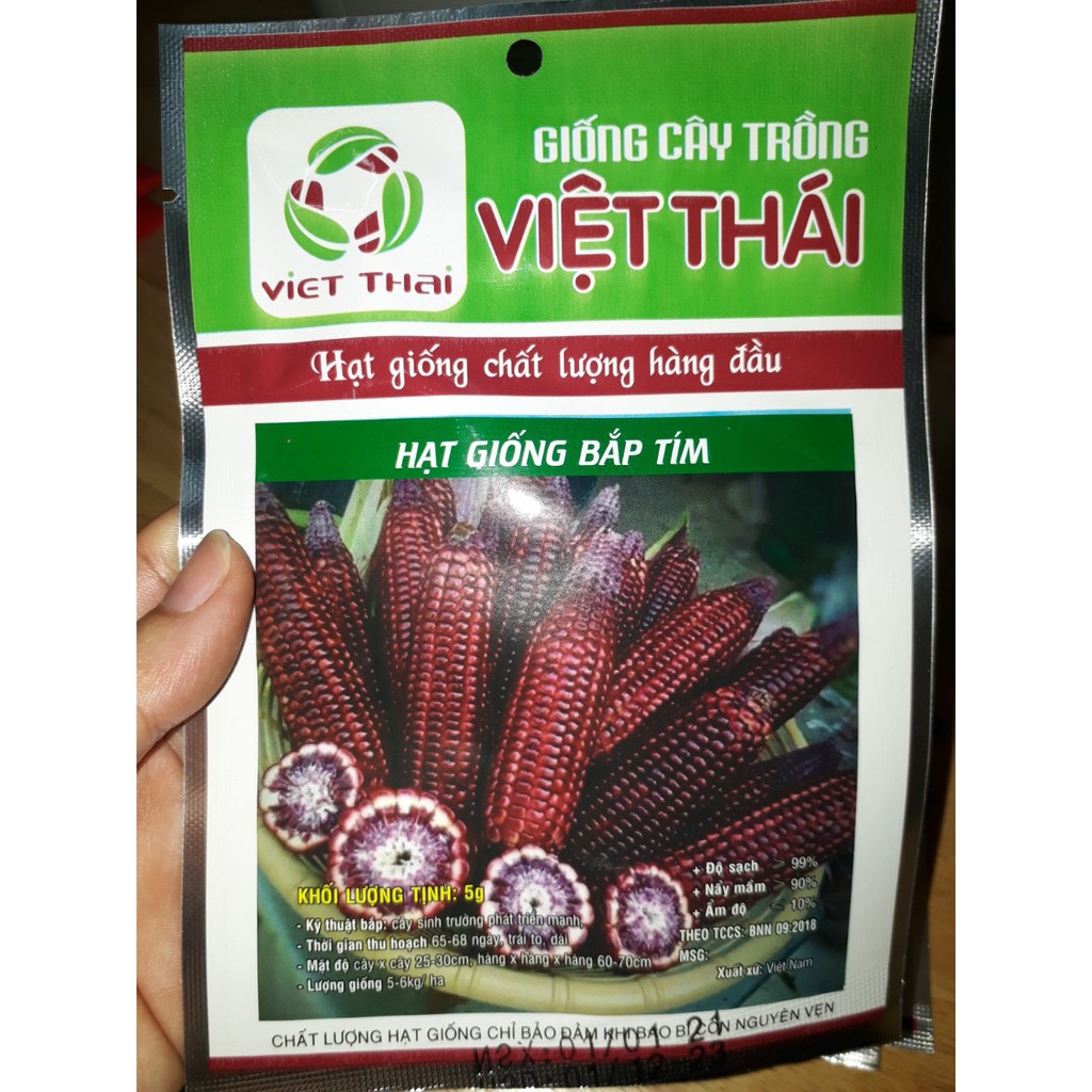 [Seeds] Hạt giống Bắp tím (Ngô tím), đóng gói 5gr