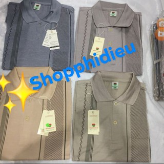 Combo 2 Áo Thun coton lụa Trung Niên