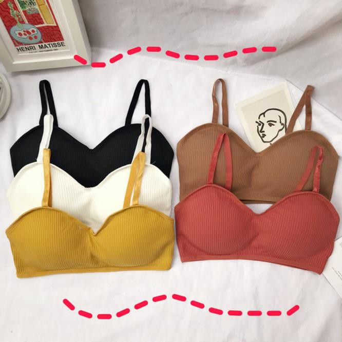 Áo Lót Bra Nữ Cotton Gân Tăm Đệm Mỏng kô Gọng Tôn Dáng BR12 | BigBuy360 - bigbuy360.vn