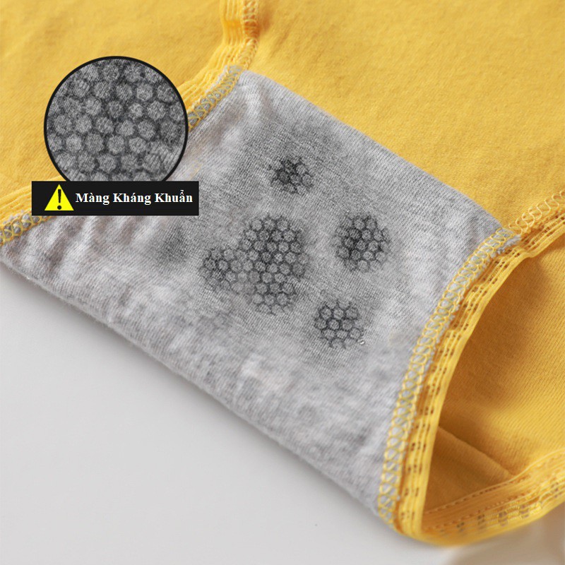 Quần Lót Cotton Sợi Bông Cạp Zíc Màng Kháng Khuẩn QL68