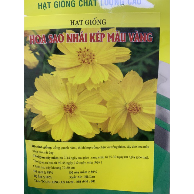 Hạt giống hoa sao nhái hoa bươm bướm vàng cánh kép giá rẻ