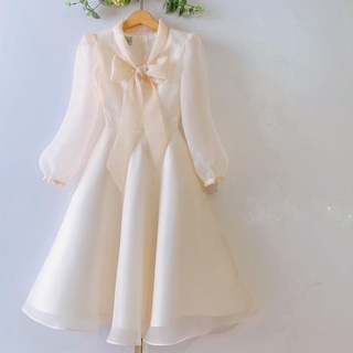 Đầm công sở, dự tiệc