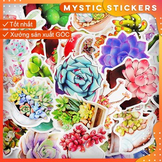 [SEN ĐÁ XƯƠNG RỒNG#1] 50 Sticker chống nước dán laptop vali xe mũ bảo hiểm nhà cửa ...3