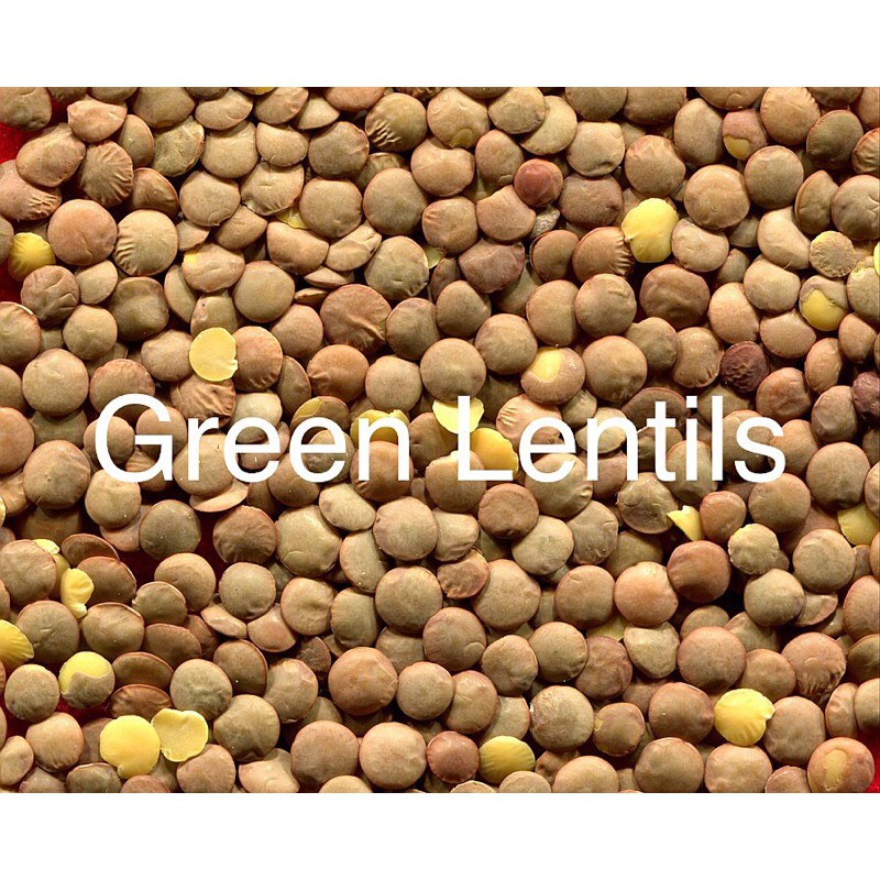 Đậu lăng xanh nguyên hạt (Green Lentils)