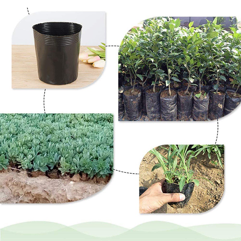 Set 500 Túi Nhựa Trồng Cây 8cmX8cm