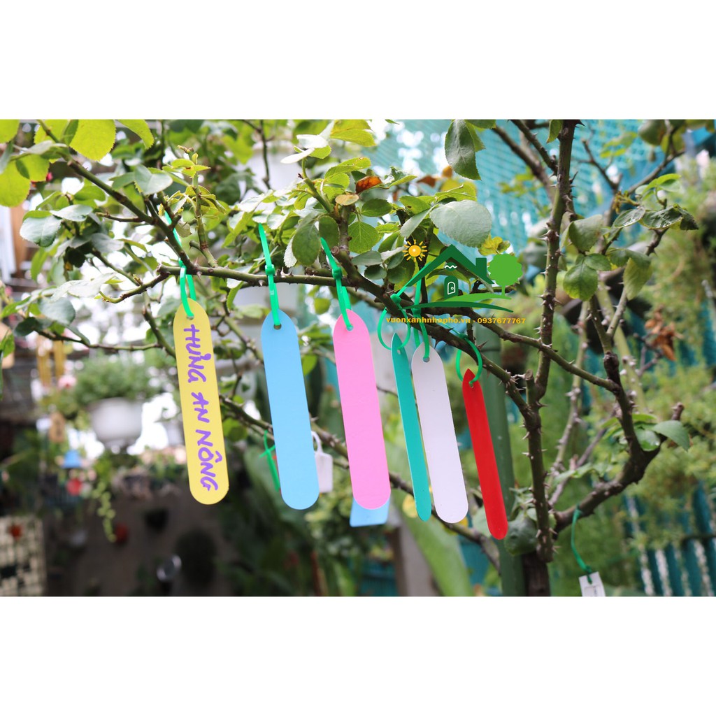 100 thẻ bầu treo và cắm được dùng đánh dấu tên giống cây trồng 1.8*9.5cm