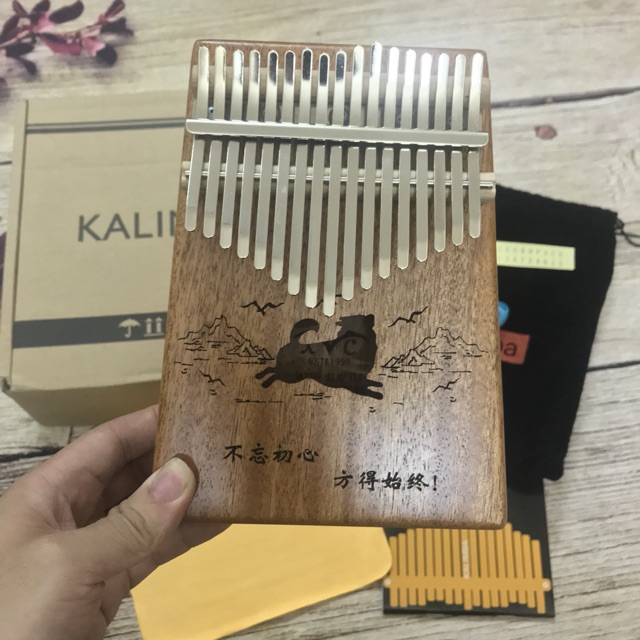 ĐÀN KALIMBA TUYỂN CHỌN