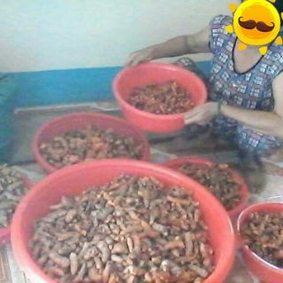 Tinh bột nghệ nhà làm