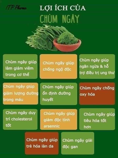 Cốm dinh dưỡng chùm ngây MORINGA