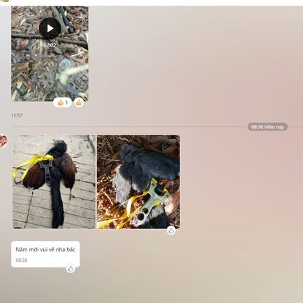 Ná cao su Huyết Kiếm Vô Cực Có nam châm giá rẻ + kèm vít vặn + 2 dây