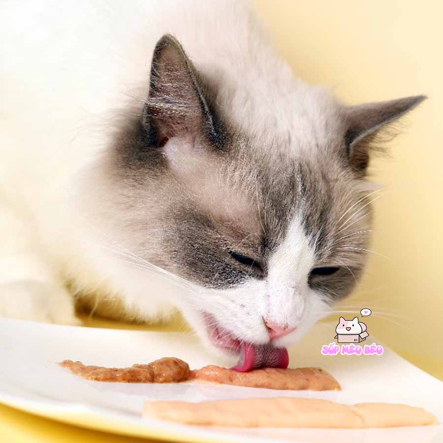 Thanh Soup pate Mr.Picky Food nhiều dinh dưỡng cho Mèo hấp thu dễ dàng tốt cho tim,mắt và lông