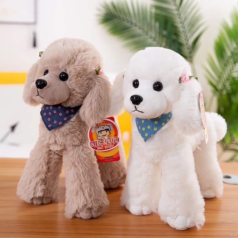 CHÓ BÔNG POODLE QUÀNG KHĂN ĐÁNG YÊU