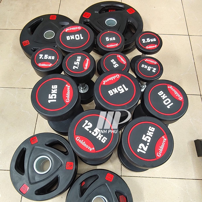 Tạ đĩa bọc cao su Goldnova 5kg ✅ Tạ bánh lỗ phi 50 chuyên dùng cho phòng tập