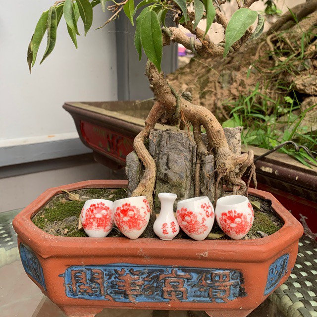 Cóng cho chim ăn Halosung cóng sứ chim khuyên phụ kiện lồng chim PK39