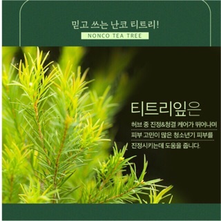 Miếng dán mụn A’pieu Nonco Tea Tree Spot Patch