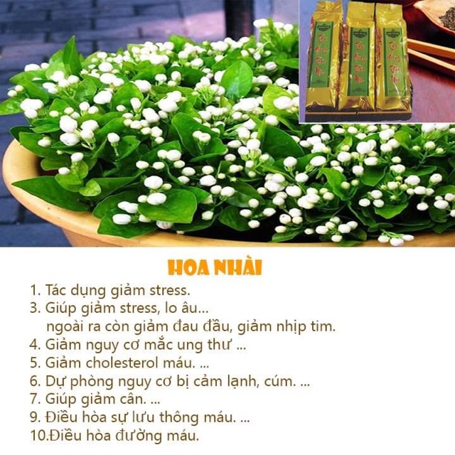 TRÀ HOÀNG THẢO MỘC 500GR MẤT NGỦ - DẠ DÀY - GIẢM MỠ MÁU-TIỂU ĐƯỜNG