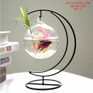 Bể cá mini cung trăng 17 (Tặng kèm phụ kiện trang trí)