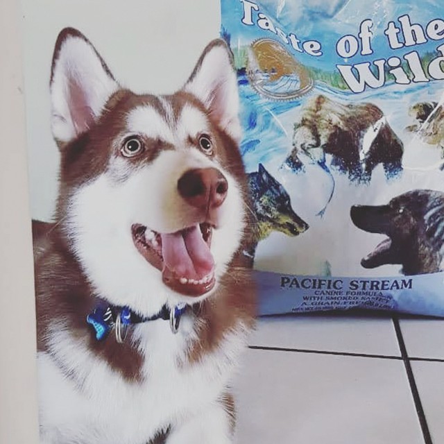 Thức Ăn Cho Chó Husky Taste Of The Wild Bao 2kg - Pacific Stream Thức Ăn Cho Chó, Vị Cá Hồi Xông Khói, Rau Củ Quả