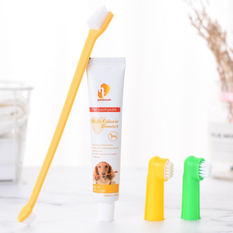 Bộ bàn chải và kem đánh răng dành cho chó mèo Pet Toothpaste, chăm sóc răng miệng thú cưng - Kitty Pet Shop B