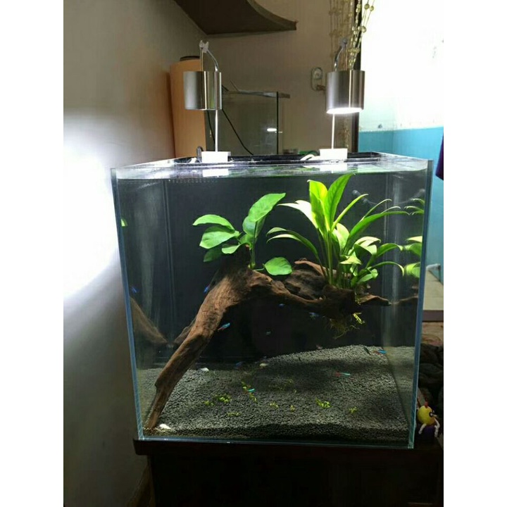 Đèn LED 5W Chiếu Sáng Cho Bể Cá Cảnh