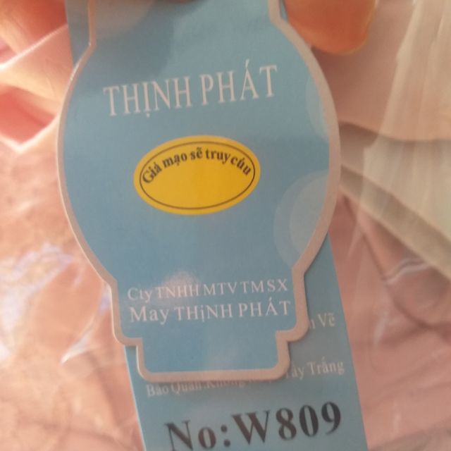Quần lót cạp cao ôm Thịnh Phát