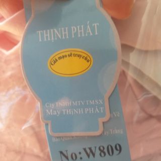 Quần lót cạp cao ôm Thịnh Phát