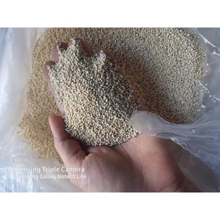 500gr hạt Diêm Mạch hữu cơ Quinoa (Màu trắng của Mỹ)
