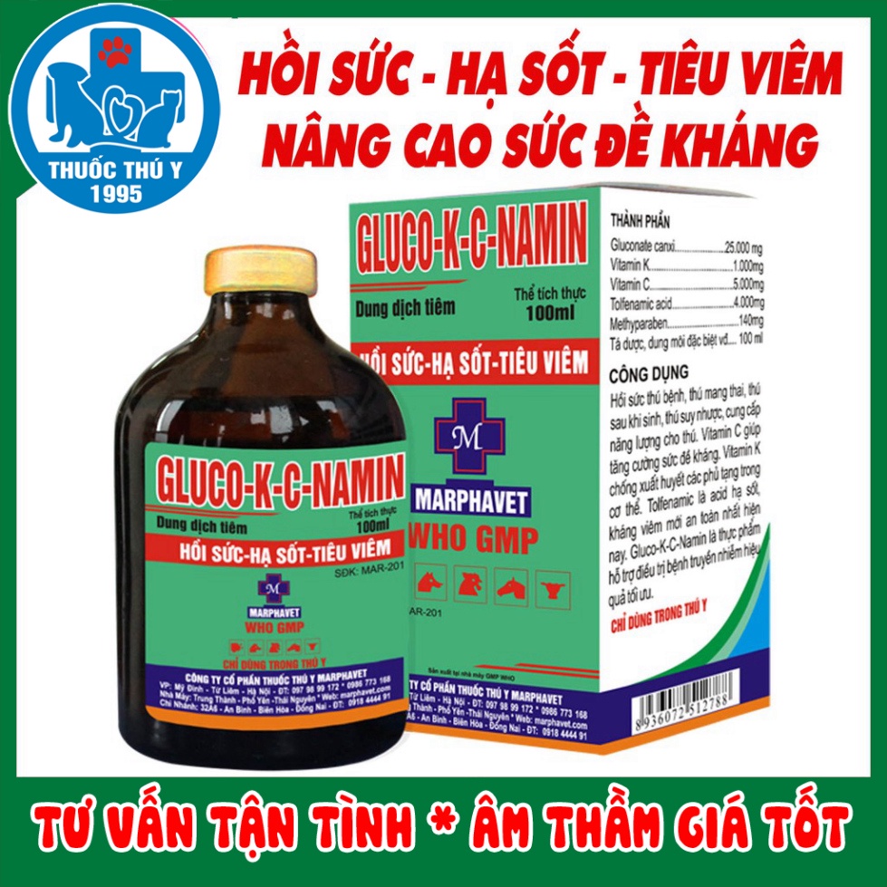 GLUCO-K-C NAMIN 100ml MARPHAVET cao cấp hỗ trợ hồi sức thú bệnh, vật nuôi