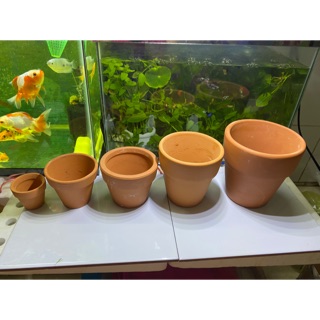 CHẬU ĐẤT NUNG TRỒNG SEN ĐÁ XƯƠNG RỒNG