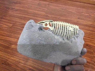 XƯƠNG KHỦNG LONG HOÁ THẠCH - DIG A DINOSAUR SKELETON