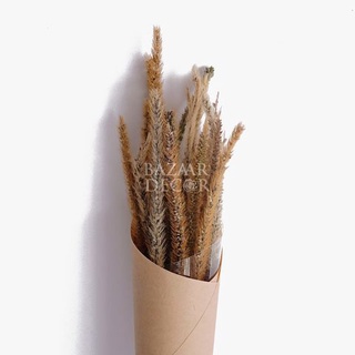 Hoa khô Bó cỏ kỳ lân khô 65cm