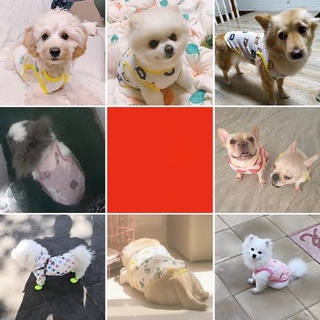 Áo ba lỗ mỏng mùa hè cho cún miu