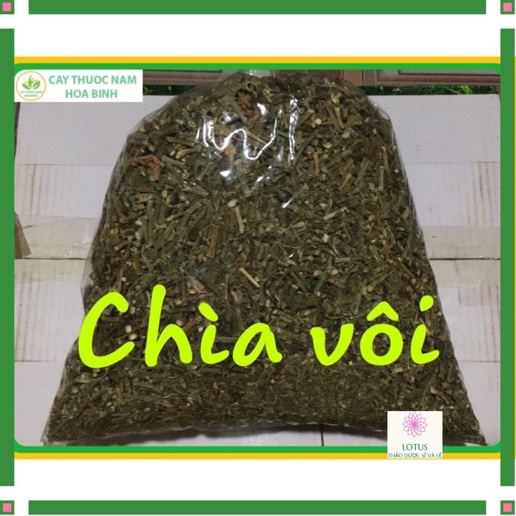 Cây chìa vôi khô chữa bệnh 1 kg