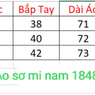 BIGSIZE - Áo sơ mi nam <100kg 1848