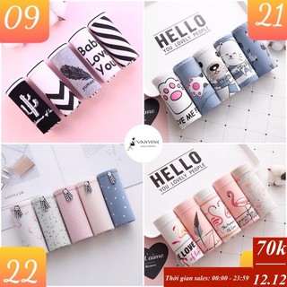 5 quần lót cotton chống viêm kháng khuẩn cạp vừa quần chip bigsize set 5 quần q229
